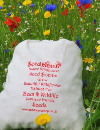 500-Native-British-Wildflower-Seed-Bombs-