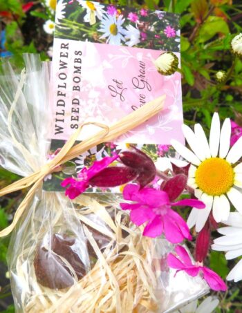 Wedding Favours - Eco-Friendly-wildflower-Favour-gifts