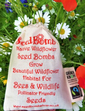 uk-wildflower-seed-bombs-fairtrade-cotton-mini-sack-100-seed-bombs-sitting-in-wildflowers