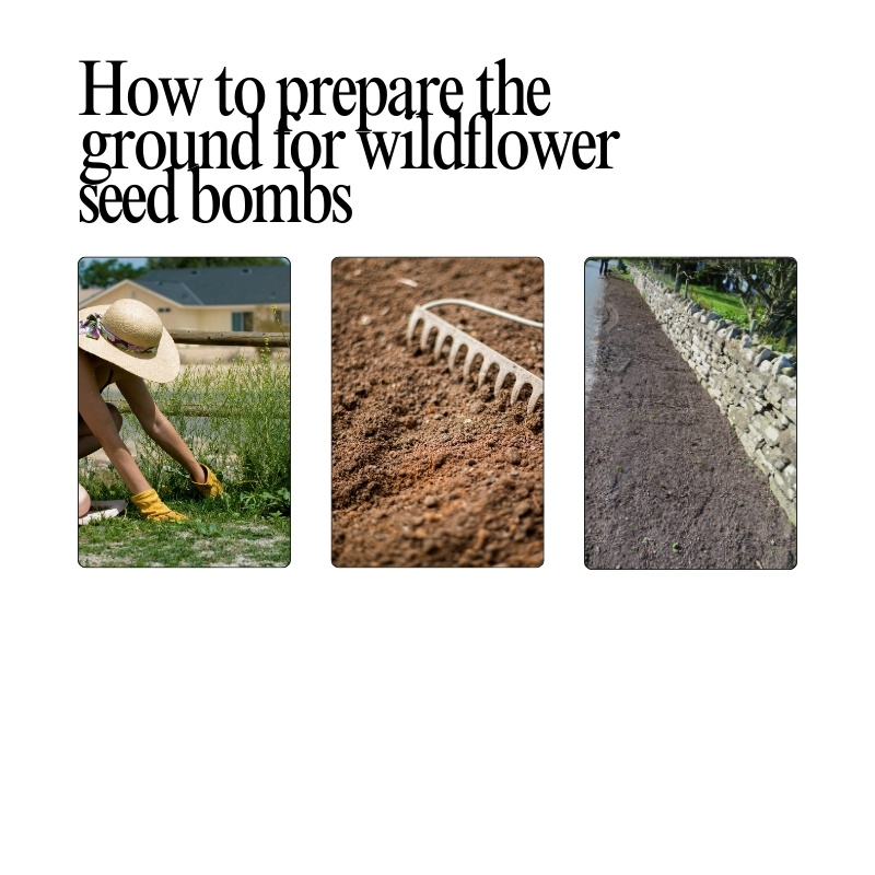 Preparing exposed soil before planting wildflower seed bombs